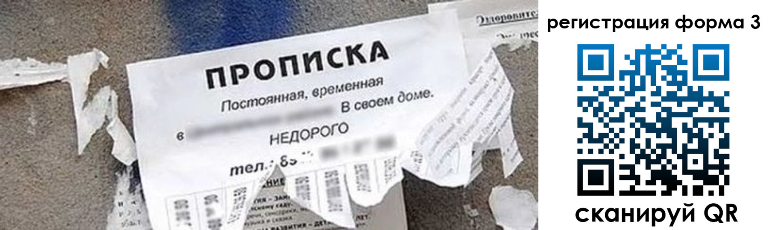 прописка 2025 в Светогорске